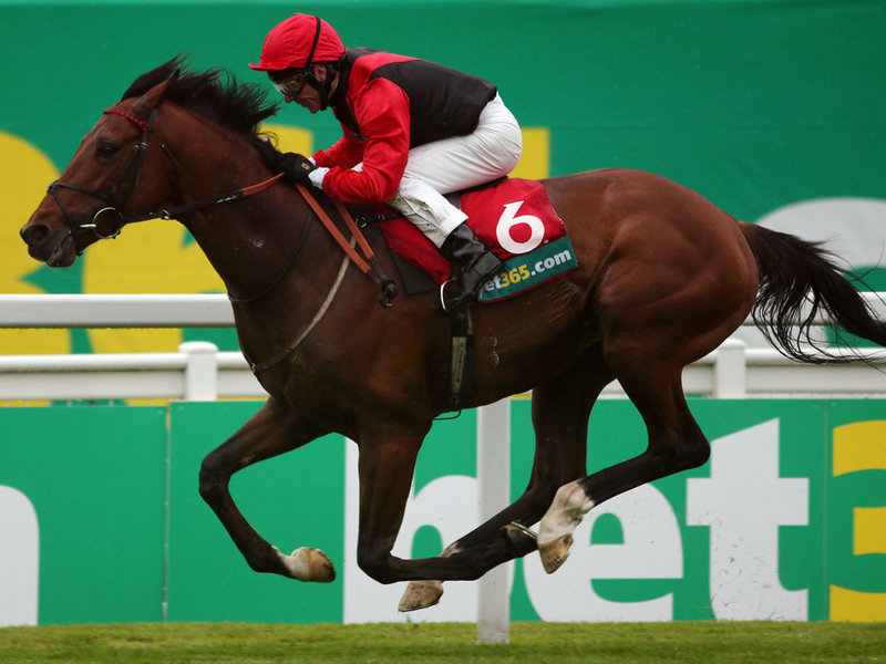 bet365 horse racing betting review