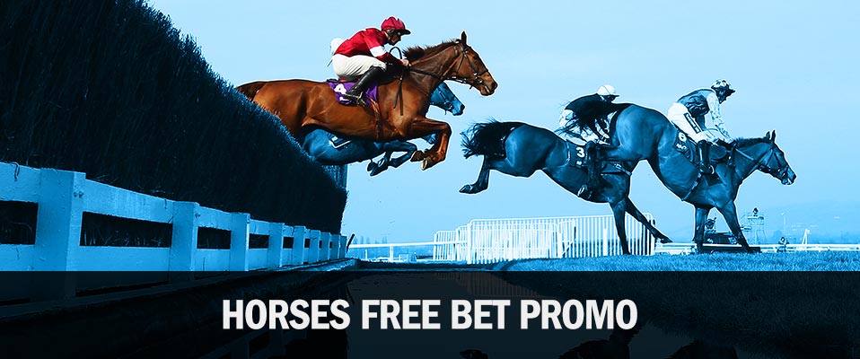 ​Get Free Bets on Horse Racing with winner.co.uk's Horses Loyalty Bonus