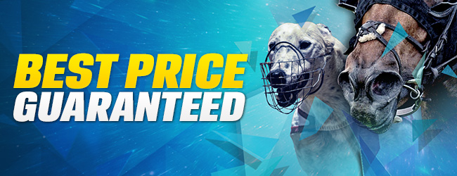 ​Coral Racing Best Price Guaranteed