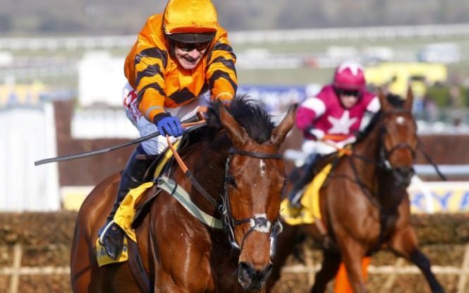 ​Winner.co.uk Beaten By A Head - Horse Racing betting Offer