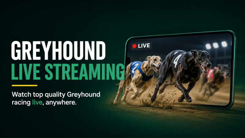 bet365 Greyhound Live Streaming: Real vs Virtual, How to Watch